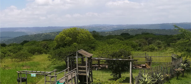 African Bird of Prey Sanctuary